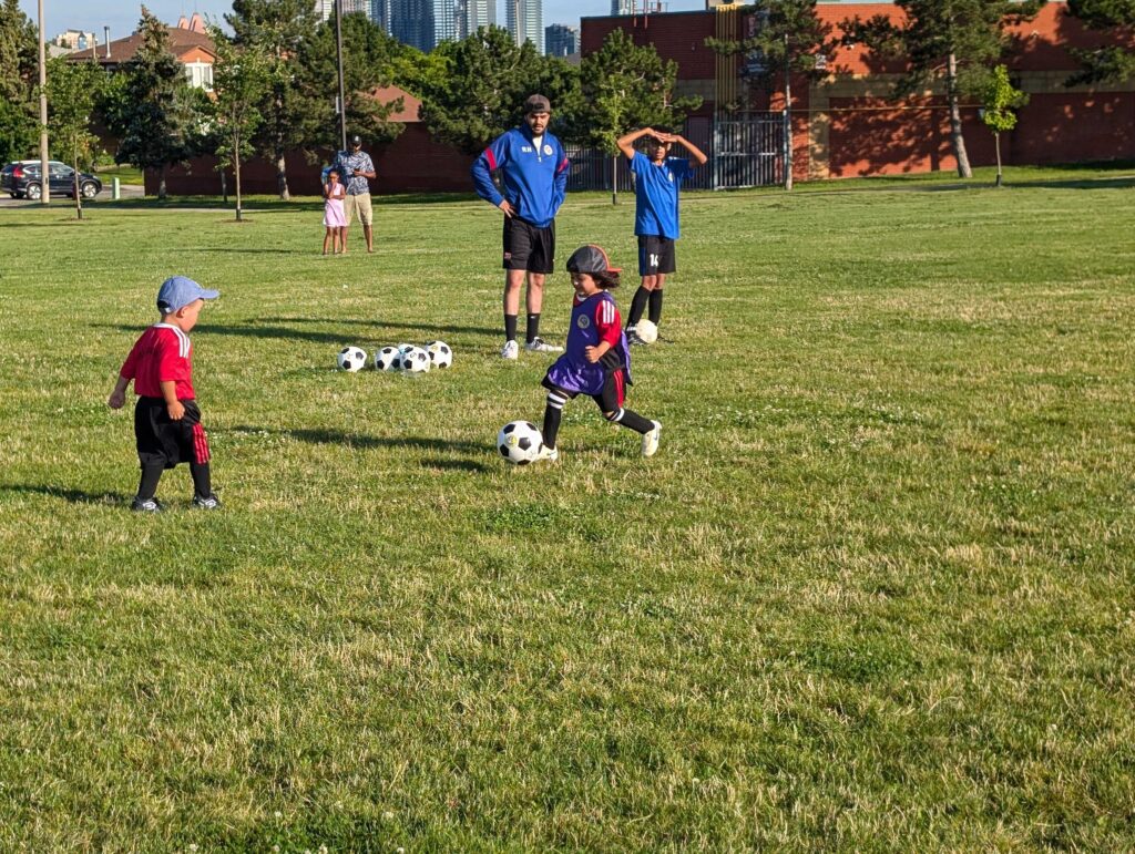 Future star 6 compressed