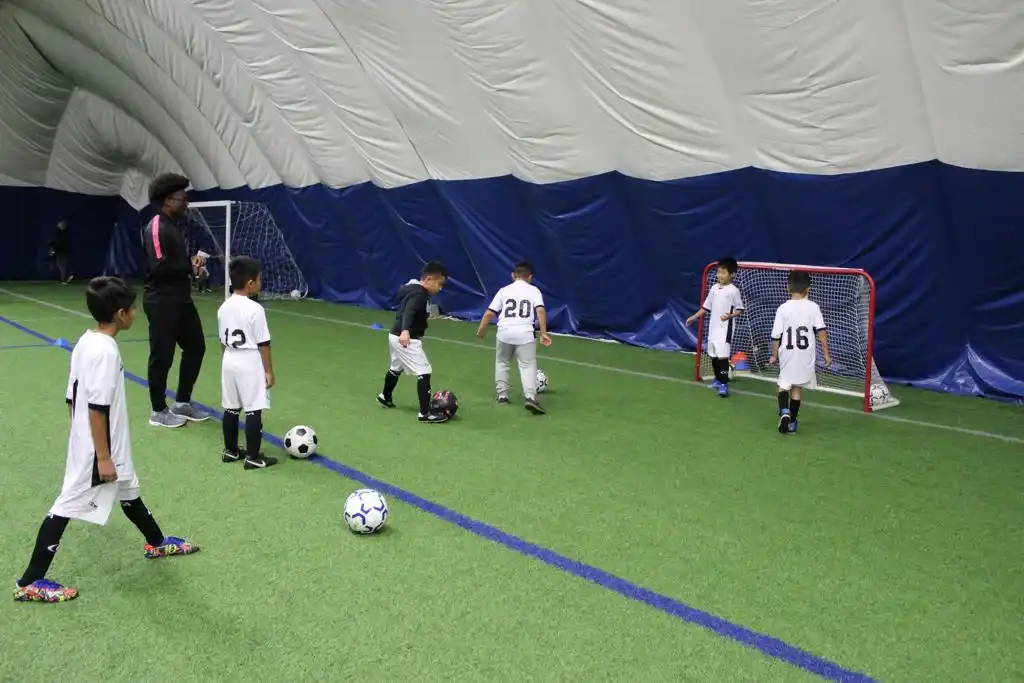 Gallery 2.jpeg compressed